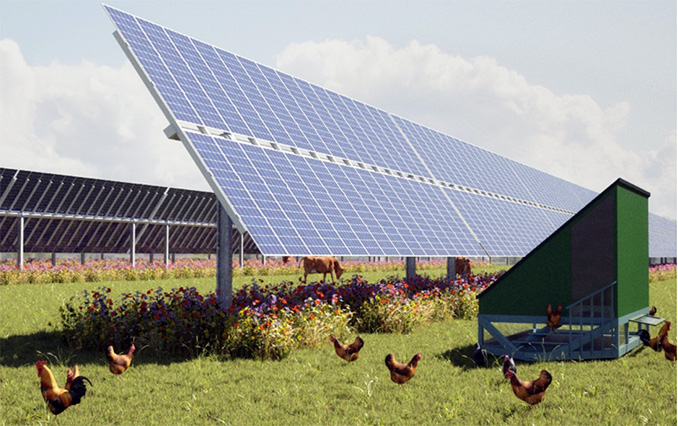 „Agri-Photovoltaik“ macht Landwirtschaft funktionaler – NOKZEIT