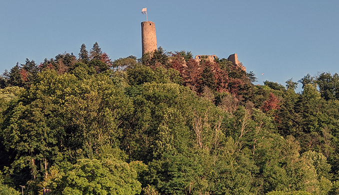 Fällarbeiten an der Burgruine Windeck – NOKZEIT