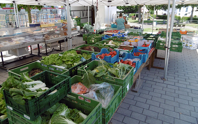 KP-Wochenmarkt-Struempfelbrunn.jpg
