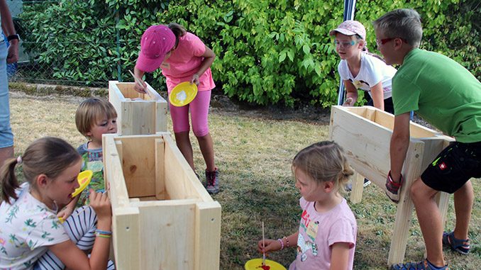 NZ-0816Hochbeet003 Nz 0816hochbeet003