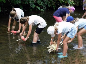 Nz 0824luft wasser001 1