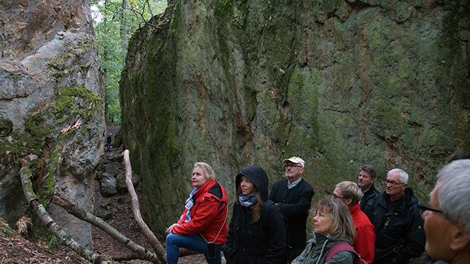 NZ Spatschlucht DSC08161 mtl