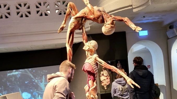 59CFBAAA A31D 4E93 B8D8 C63A8ECA2821