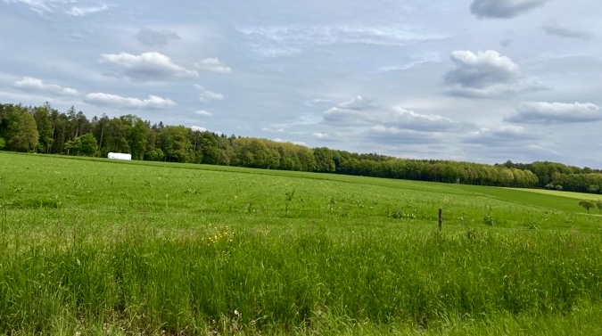 1CF8AB14 BA9A 4ECE 971F 54BA726891B9