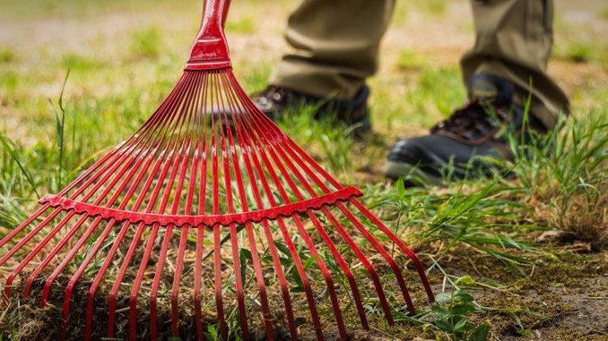 8E9EEDC5 2395 45AA 9C88 8598E7D74DEE