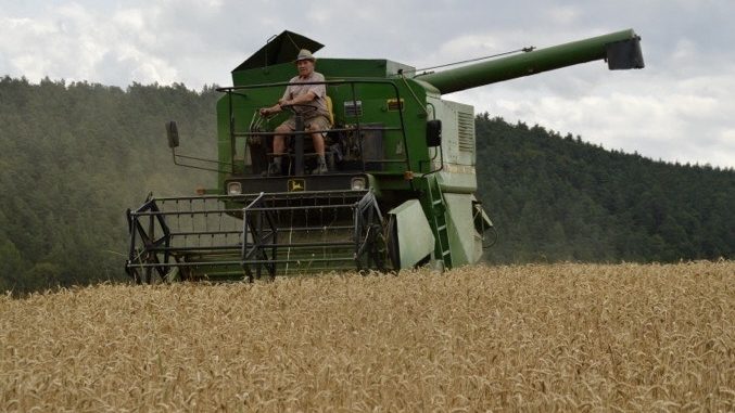 9D0F8E52 46E2 4613 B40C 6B6EA7B2FC1C