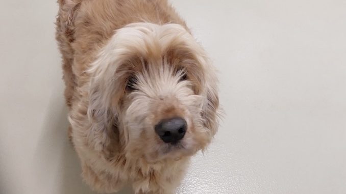 0DC96E64 7A31 48BC BA5D 5EDD06B3AD4A