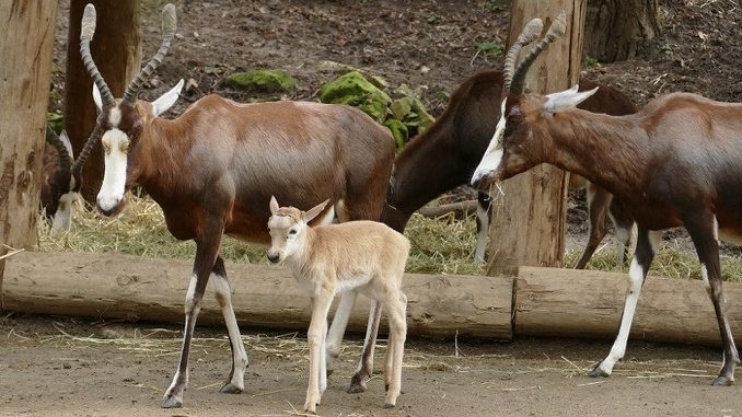 61DFFB87 5E69 494B 9DC3 E8CA47CE81F6