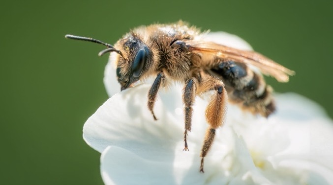 D0E8C7BF A19A 481B 931D 33C50DC57959