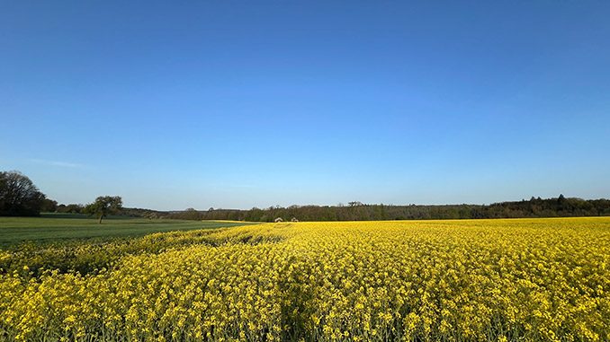 Windkraftfreier Blick in den Odenwald.
