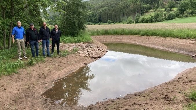 Amphibienlaichgewässer an der Morre