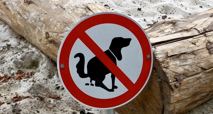 Hunde auf landwirtschaftlichen Flächen
