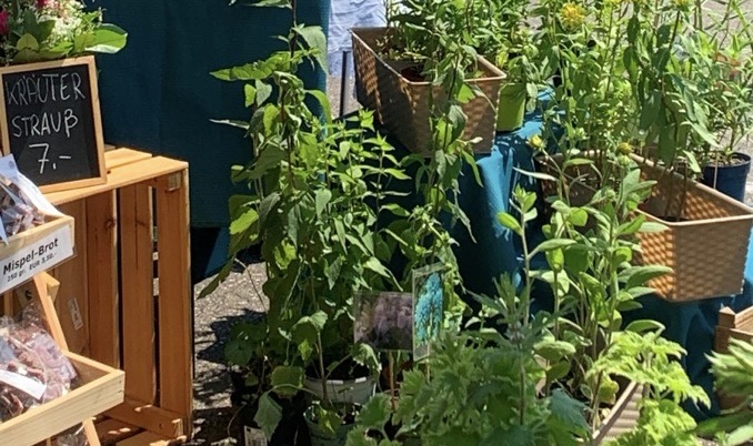 Regionale Produkte im Herbstglanz Naturpark-Markt in Mosbach