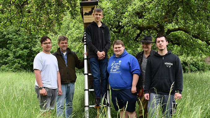 13 neue Wohnungen für Fledermäuse