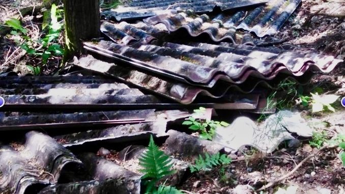 Giftige Eternitplatten im Gemeindewald entsorgt