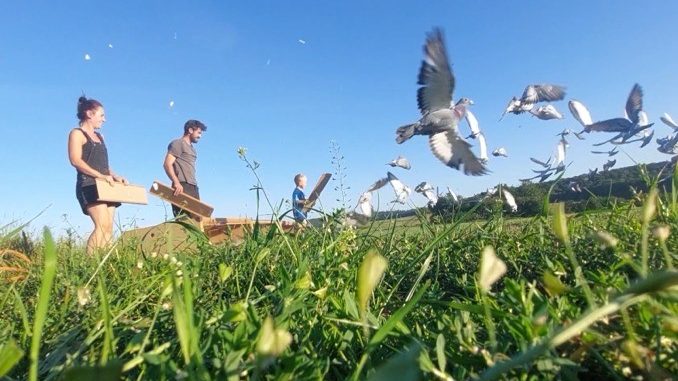 „Pferde der Lüfte“ feiern Meisterschaft