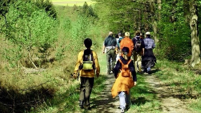Mit dem Förster durchs Buchens Wälder