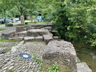 Wasserspielplatz wird naturnah umgestaltet