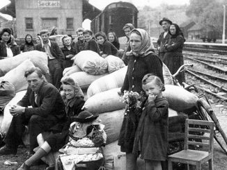 Ein Jubiläum mit bedeutenden Wurzeln