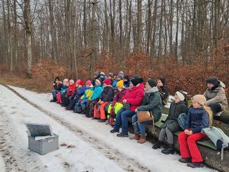 Nz Gruenes Klassenzimmer im Wald.jpg