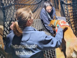 Bällebad und Achterbahn fordern Spürnasen