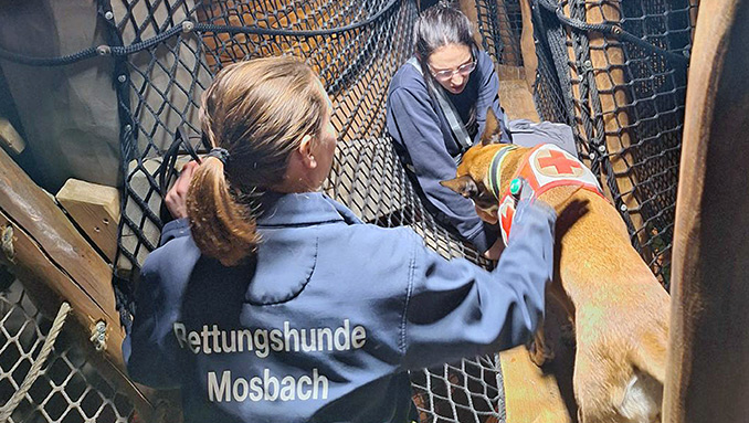 Bällebad und Achterbahn fordern Spürnasen