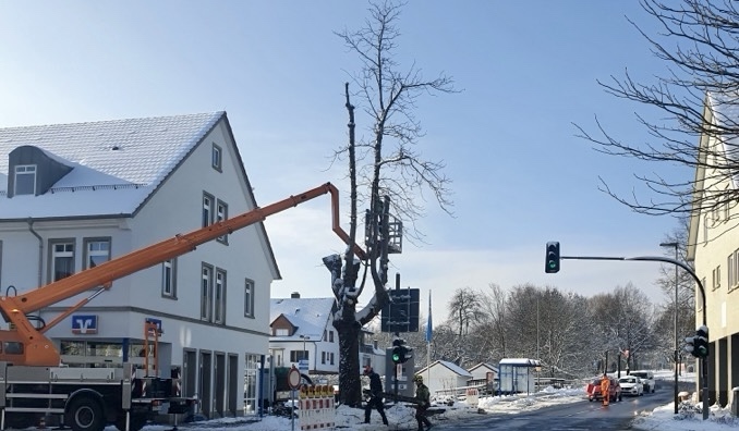 Kastanienbaum gehörte zum Ortsbild