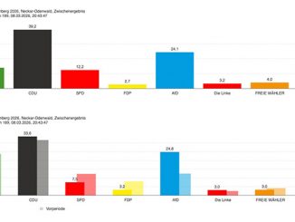 Der Neckar-Odenwald-Kreis hat gewählt