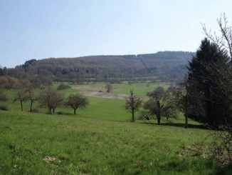 Breitenstein als Naturschutzgebiet schützen?