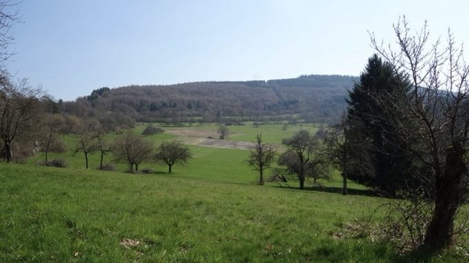 Breitenstein als Naturschutzgebiet schützen?