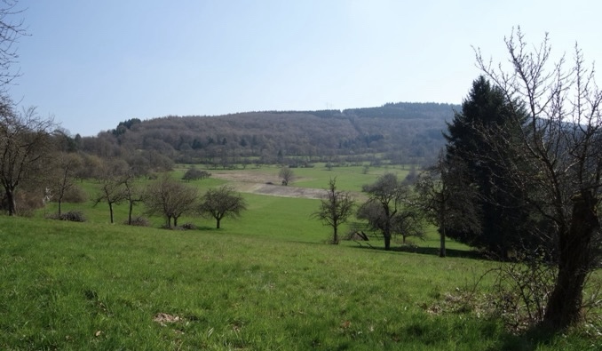 Breitenstein als Naturschutzgebiet schützen?
