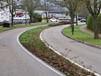 Entsiegelung Waldsteige