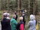 Waldspaziergang