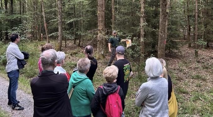 Waldspaziergang