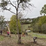 Landschaftspflegetag mit dem DAV 1976a411-8b1c-4666-ab5f-76c2037ba417