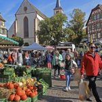 Angebot auf Wochenmärkten wird erweitert Wochenmarkt Mosbach
